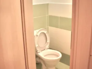 Pronájem obchodního prostoru, Prostějov, Koželuhova, 315 m2