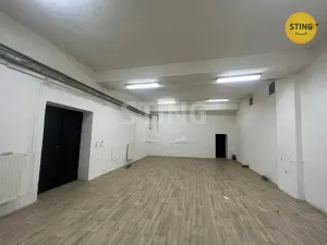 Pronájem skladu, Opava, Rybářská, 80 m2