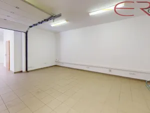 Pronájem kanceláře, Mladá Boleslav - Mladá Boleslav IV, 1800 m2