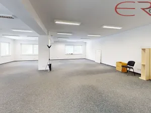 Pronájem kanceláře, Mladá Boleslav - Mladá Boleslav IV, 1800 m2