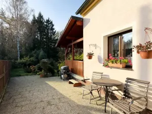 Prodej vícegeneračního domu, Podlesí, 240 m2