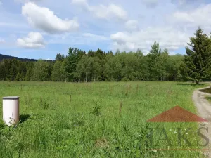 Prodej pozemku pro bydlení, Srní, 3812 m2