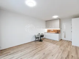 Pronájem bytu 1+kk, Praha, Poděbradská, 31 m2