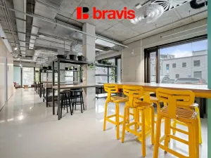 Pronájem bytu 1+kk, Brno, Dornych, 24 m2