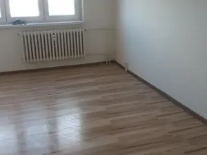 Pronájem bytu 1+1, Chomutov, Výletní, 33 m2