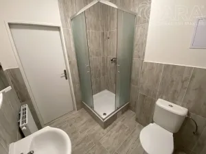 Pronájem bytu 1+kk, Ivanovice na Hané, 42 m2