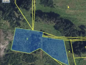 Prodej lesa, Městečko Trnávka - Lázy, 6313 m2