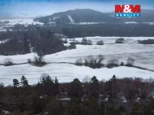 Prodej lesa, Rabí, 28273 m2