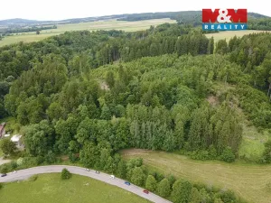 Prodej lesa, Ústí nad Orlicí - Oldřichovice, 2745 m2