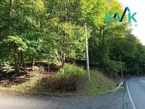 Prodej pozemku, Loket, 5448 m2