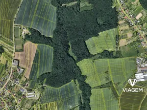 Prodej podílu pole, Lhota, 956 m2