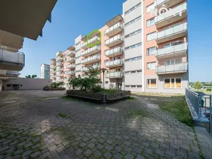 Prodej bytu 3+kk, Olomouc, Družební, 89 m2
