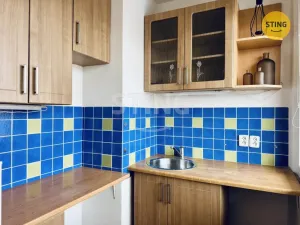 Pronájem bytu 1+kk, Pardubice, Grusova, 39 m2