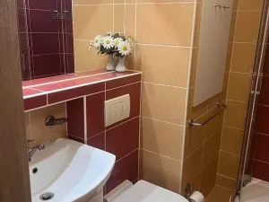 Pronájem bytu 1+1, Jihlava, Březinova, 33 m2