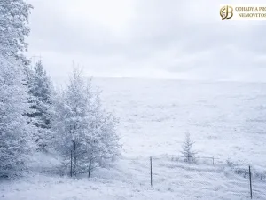 Prodej louky, Dlouhomilov, 7512 m2