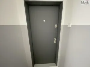 Pronájem bytu 2+1, Litvínov - Horní Litvínov, Podkrušnohorská, 55 m2