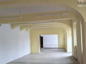 Pronájem obchodního prostoru, Teplice, Pražská, 271 m2