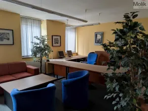 Pronájem obchodního prostoru, Teplice, Pražská, 271 m2