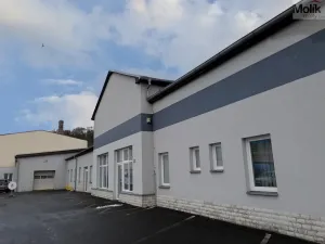 Pronájem obchodního prostoru, Teplice, Pražská, 271 m2