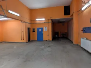 Pronájem obchodního prostoru, Teplice, Pražská, 380 m2