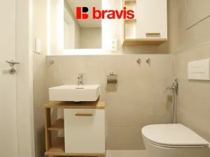 Pronájem bytu 2+kk, Brno - Staré Brno, Rybářská, 47 m2