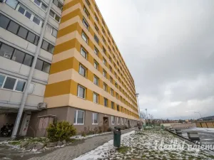 Pronájem bytu 1+1, Brno, Dubová, 32 m2