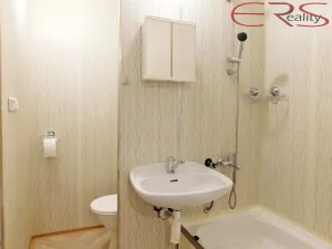 Pronájem bytu 1+1, Jablonec nad Nisou, F. L. Čelakovského, 40 m2