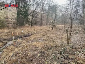 Prodej pozemku, Ondřejov, 8264 m2