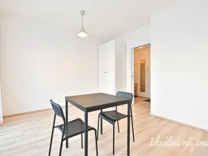 Pronájem bytu 1+kk, Brno, Rybářská, 29 m2