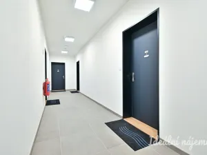 Pronájem bytu 1+kk, Brno, Rybářská, 29 m2