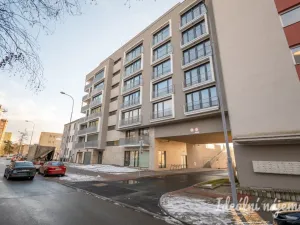 Pronájem bytu 1+kk, Brno, Rybářská, 29 m2