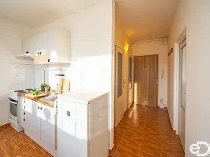 Prodej bytu 1+1, Hradec Králové, Sezemická, 32 m2