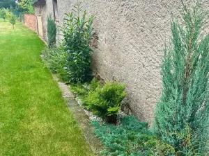 Prodej rodinného domu, Čistá, Tyršova, 130 m2