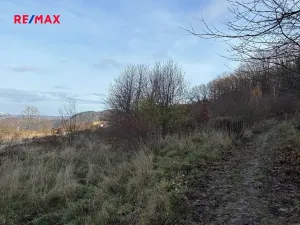 Prodej pozemku, Všenory, 96565 m2