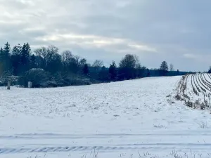 Prodej pole, Zbýšov, 4749 m2