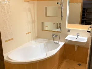 Pronájem bytu 1+kk, Olomouc, Peškova, 45 m2