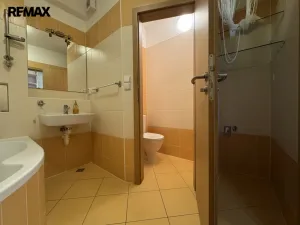 Pronájem bytu 1+kk, Olomouc, Peškova, 45 m2