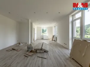 Prodej komerčního pozemku, Chřibská, 11342 m2