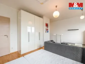 Pronájem bytu 1+kk, Plzeň - Jižní Předměstí, U Radbuzy, 29 m2