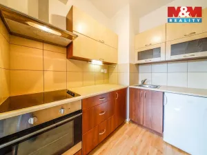 Pronájem bytu 1+kk, Plzeň - Jižní Předměstí, U Radbuzy, 29 m2