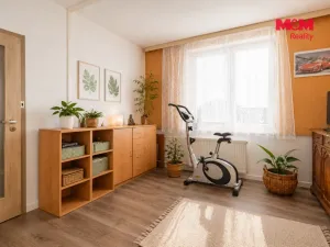 Prodej bytu 4+1, Mladošovice, 91 m2