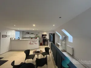 Pronájem komerční nemovitosti, České Budějovice - České Budějovice 2, Husova tř., 300 m2