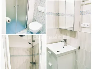 Pronájem bytu 2+1, Litoměřice - Předměstí, Dobrovského, 54 m2