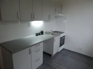 Pronájem bytu 1+1, Ostrava - Hrabůvka, Dvouletky, 37 m2