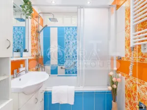 Prodej bytu 3+1, České Budějovice - České Budějovice 2, K. Chocholy, 66 m2