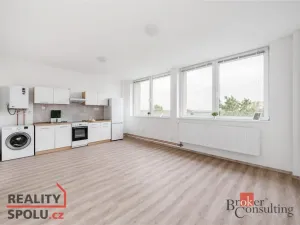 Pronájem bytu 1+kk, Mlékojedy, 45 m2