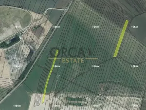 Prodej pozemku, Žabčice, 10011 m2