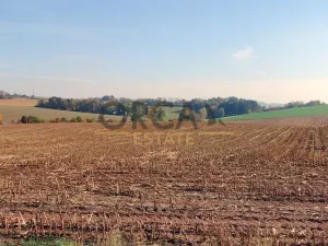 Prodej pole, Lomnice nad Popelkou, 5316 m2