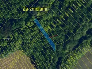 Dražba lesa, Ivančice, 140 m2