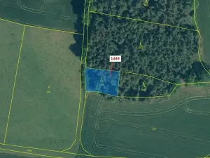 Dražba lesa, Hradiště, 638 m2